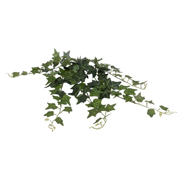 Buchet iedera curgatoare, H 50 cm, B.S.P. / SL662