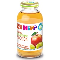 Suc BIO HiPP, mere si struguri HIP, 200ml, de la 4 luni