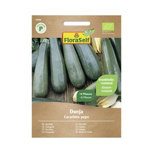 Bulbi, seminte si rasaduri