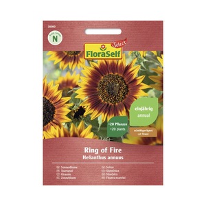 Bulbi, seminte si rasaduri