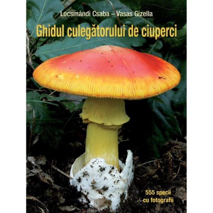 Ghidul culegatorului de ciuperci - 555 de specii, Locsmandi Csaba – Vasas Gizella