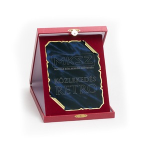 Cupe, trofee si medalii