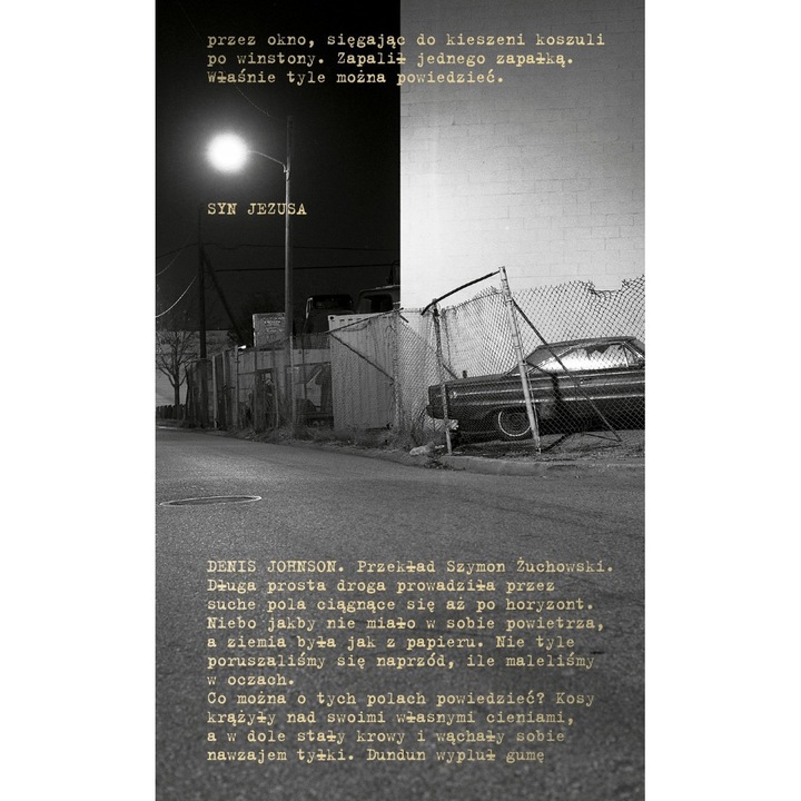 Fiul lui Iisus, Denis Johnson, 2024