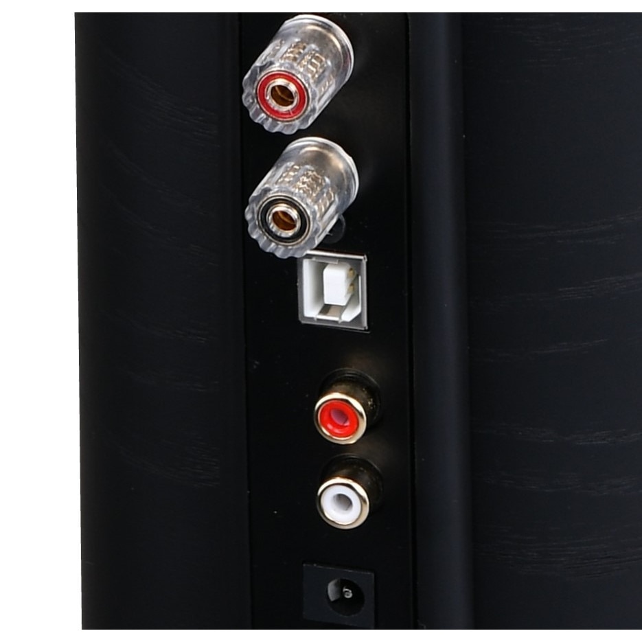 Boxe Acoustique Quality CANTO 3 FORTE, Bluetooth/USB, MDF natural, 2x30W