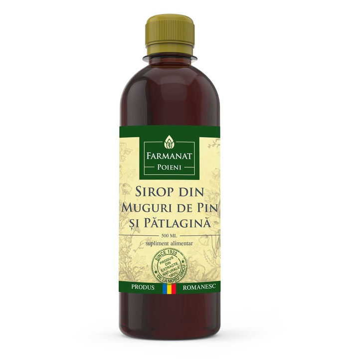 Sirop din muguri de pin si patlagina - 500ml