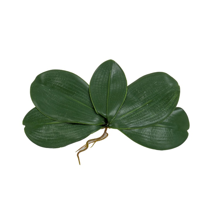 Mesterséges orchidea levél, zöld színű, 20x10 cm, BSP / CD4505