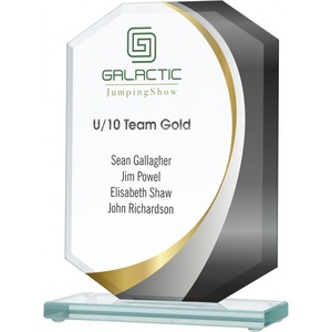 Cupe, trofee si medalii