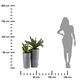 Set 2 Ghivece, Howhomely, Estetica, Calitate Inalta A Manoperei, Usor De Curatat, Inaltime 57 cm, Diametru 30 cm, Gri