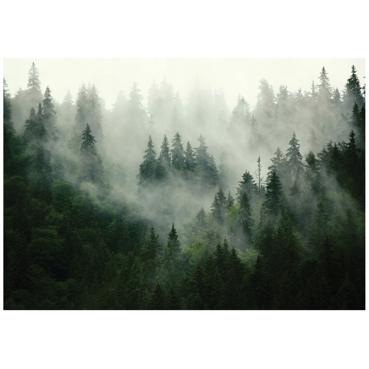 Тапет Гора в мъгла Природа Зелен Пейзаж 350x250 см, Нетъкан тапет, Декоративен, Стена, Всекидневна
