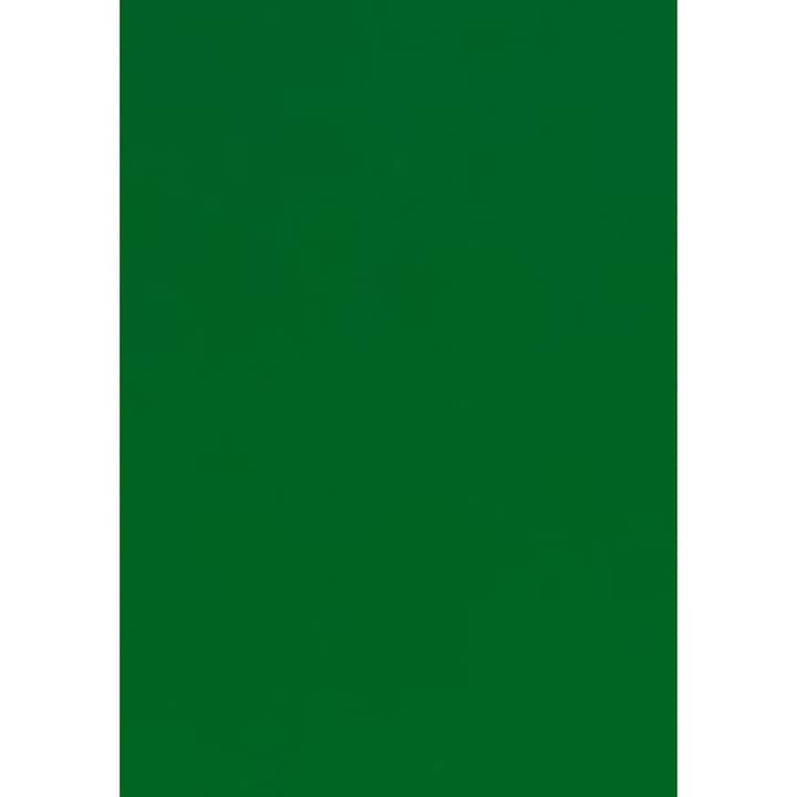 Folie Vinil Siser EasyWeed P.S. Film HTV, A4, Verde