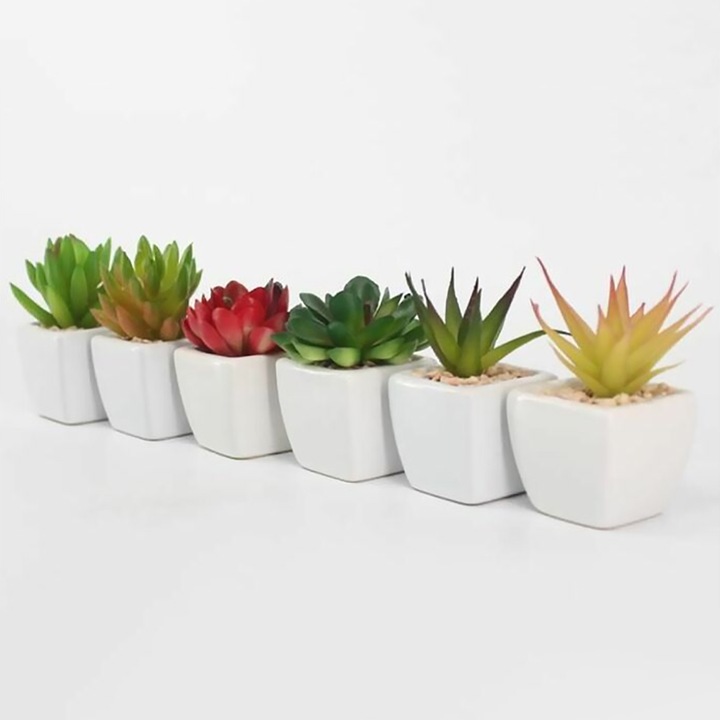 Plante artificiale, Enforose, suculente realiste, set de plante, materiale sigure pentru copii si animale de companie
