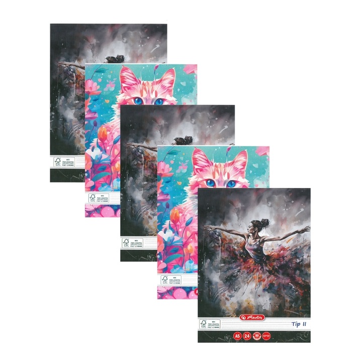 5 db Herlitz A5-ös jegyzetfüzet készlet 24 lap 80g/nm Type II - Dynamic Girls motívum