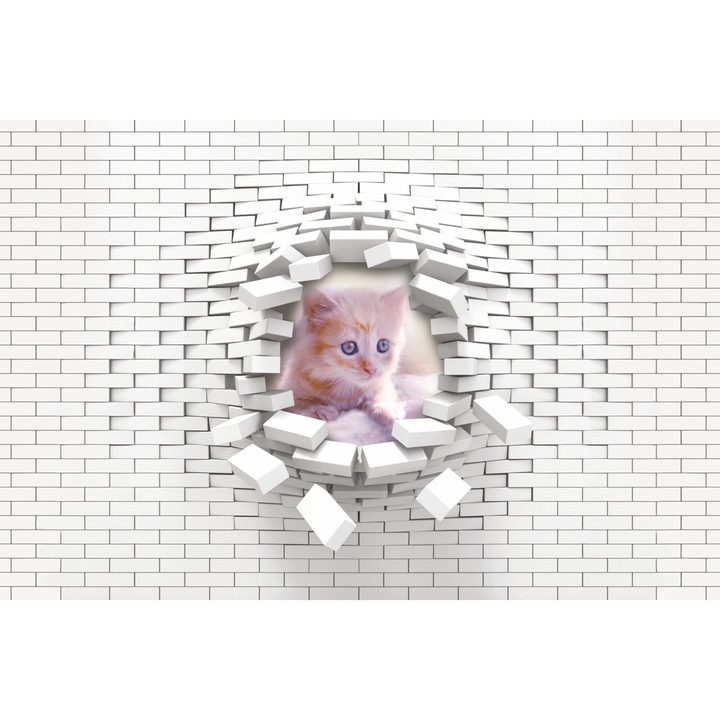 Fototapet, modern 3D, pentru copii, perete, decorare, perete spatios cu pisicuta, 197x296 cm