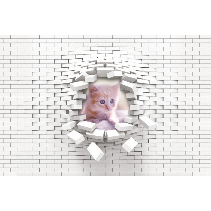 Fototapet, modern 3D, pentru copii, perete, decorare, perete spatios cu pisicuta, 148x220 cm