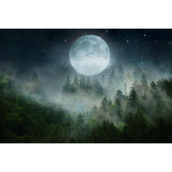 Fototapet, modern, pentru perete, pentru living, perete, decorare, padure in ceata noaptea, 260x390 cm