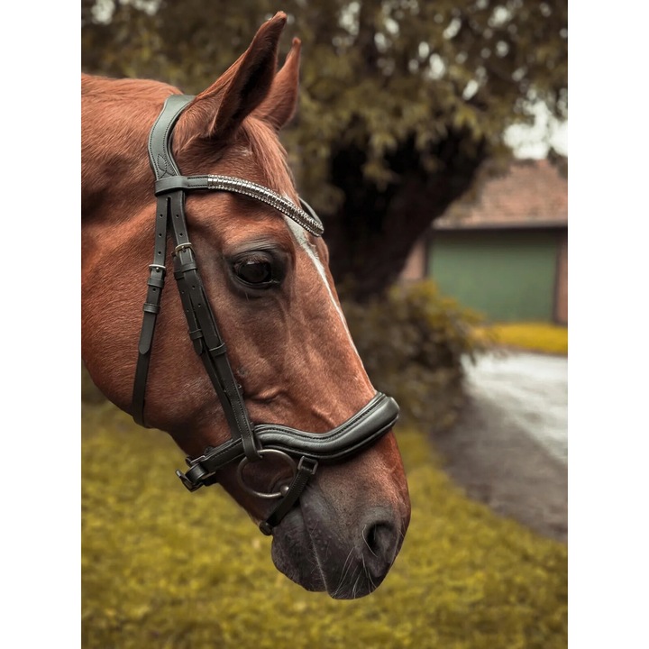 Capastru de cal din piele START Selene anatomic negru COB