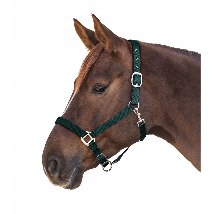 Capastru pentru ponei, Waldhausen, satin, verde