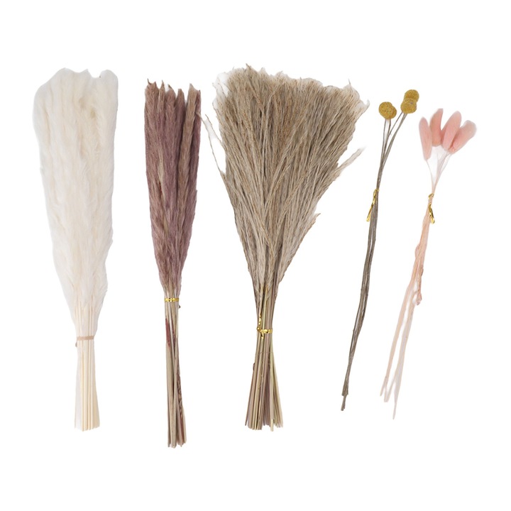 Buchet de flori uscate, Cozevdnt, 70 bucati, iarba pampas, coada iepurelui roz, billy button galben