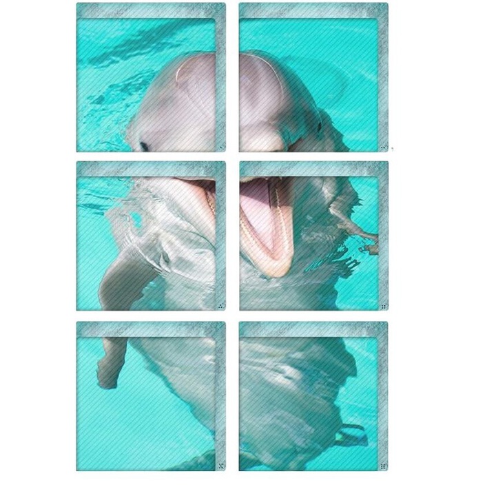 Set 6 stickere antiderapante pentru baie, model plaja 3D, PVC ecologic, rezistente la apa, 15x15cm