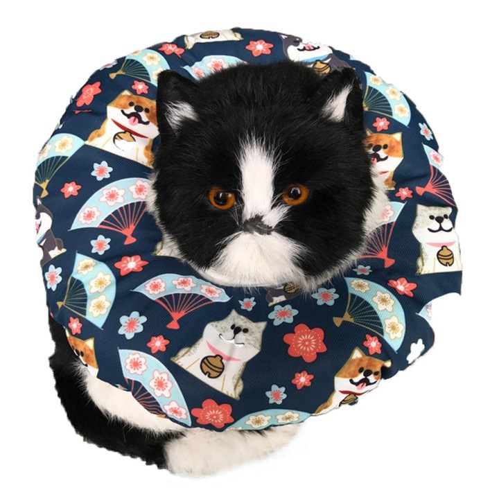 Guler de recuperare pentru pisici, ajustabil, bumbac moale, multicolor