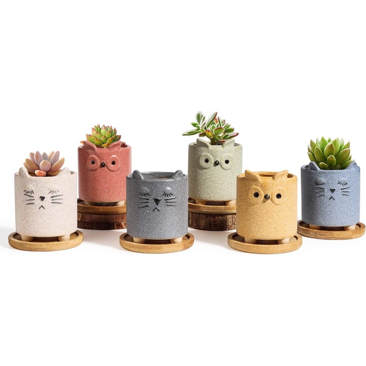 Ghivece mini pisica pentru plante, set de 6, design adorabil, culori diferite, dimensiuni 9x9x6cm