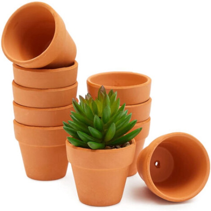 Set de 10 ghivece din teracota pentru suculente, 4.5x2.8x4.5cm, cu orificiu de drenaj