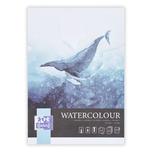 Acuarele, pensule si blocuri de desen