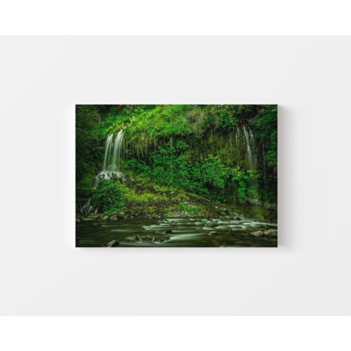 Картина на платно - Пищна дъждовна гора Водопад - 70x100 см