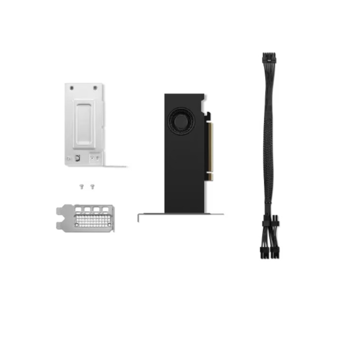 Placa video profesionala Lenovo nVidia RTX A2000 Ada 16GB GDDR6 4xmDP