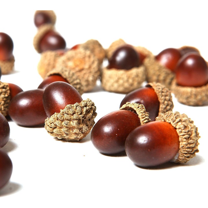 Set 50 buc Acorns false, Enforose, aspect natural, 2.5x1.5cm