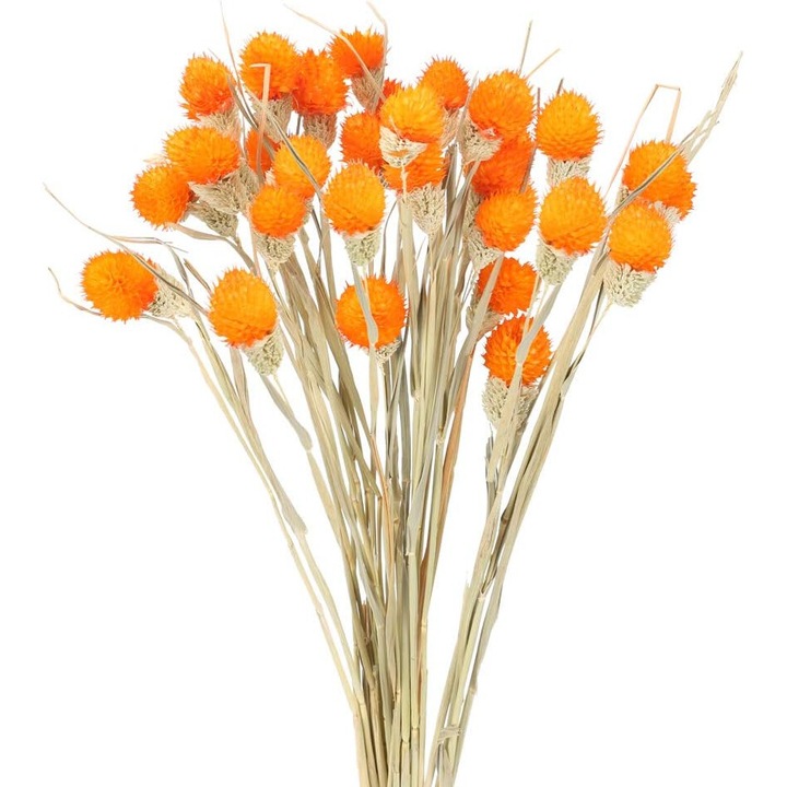 Set flori uscate, Cozevdnt, Portocaliu, 43cm, 16 buc