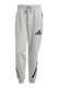 adidas Sportswear, Спортен панталон Z.N.E., Tъмносив
