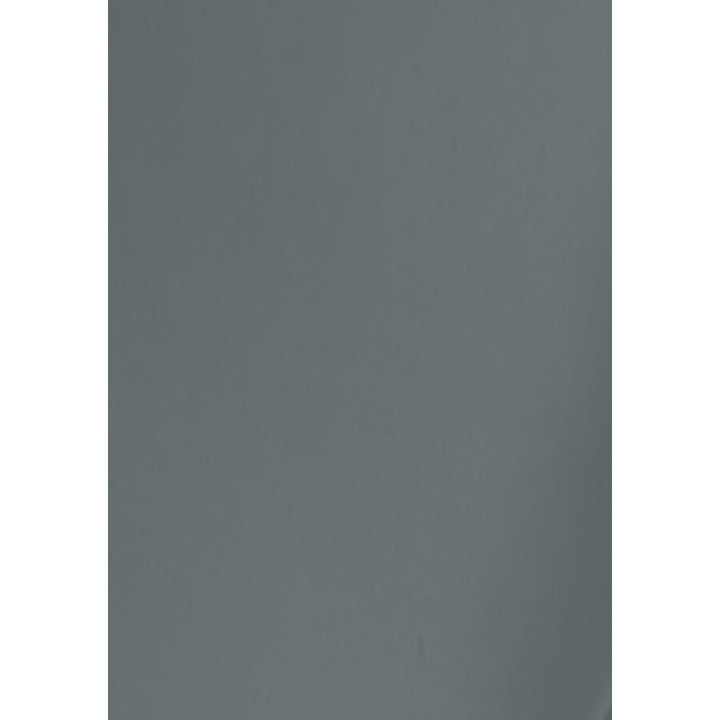 Винилово фолио Siser EasyWeed PS Film HTV, A4, цвят сребрист