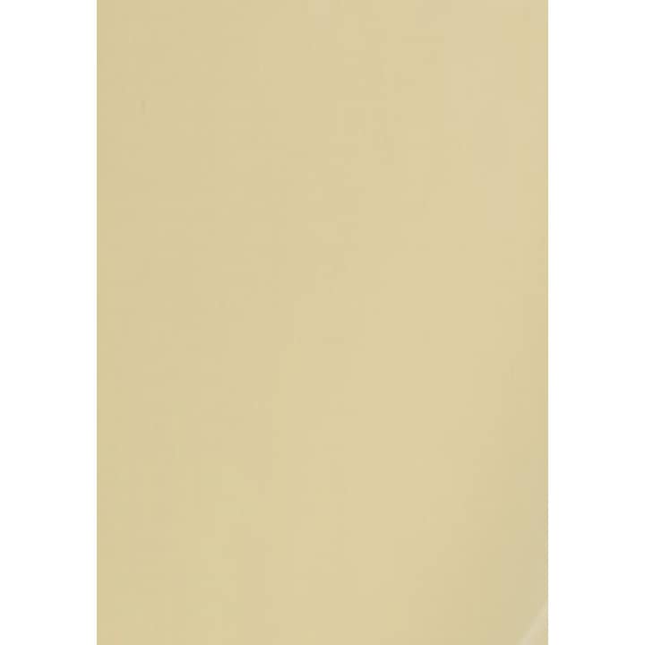 Винилово фолио Siser EasyWeed PS Film HTV, A4, Pearl Color