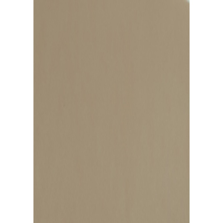 Folie Vinil Siser EasyWeed P.S. Film HTV, A4, Culoare Sand