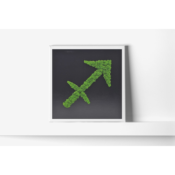 Tablou Zodiac cu Licheni Naturali Stabilizati Sagetator