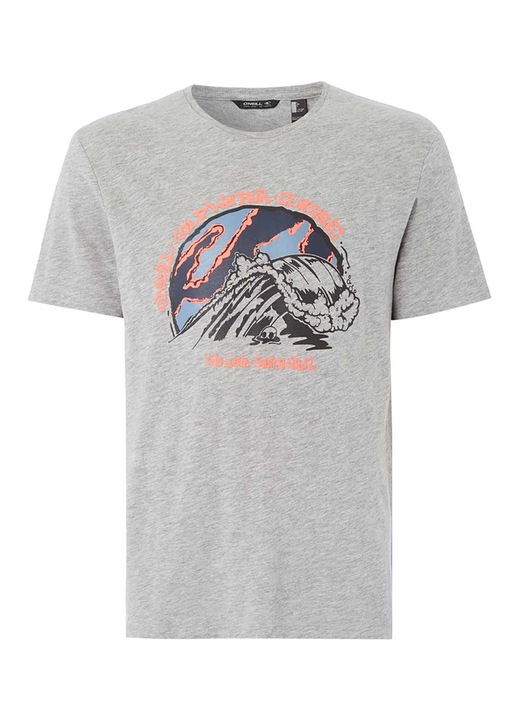 Tricou barbati, O'Neill, Bumbac/Viscoza, Gri, S INTL