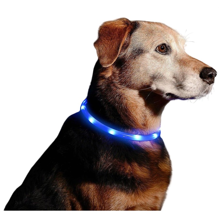 Zgarda luminata pentru animale de companie, silicon, LED, reincarcabila USB, 70cm