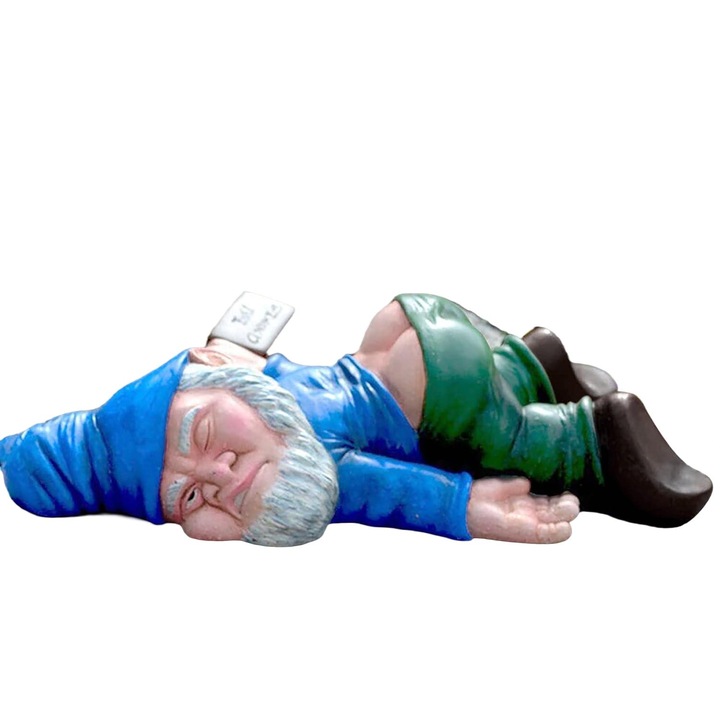 Statueta pentru gradina, Rasina, Multicolor