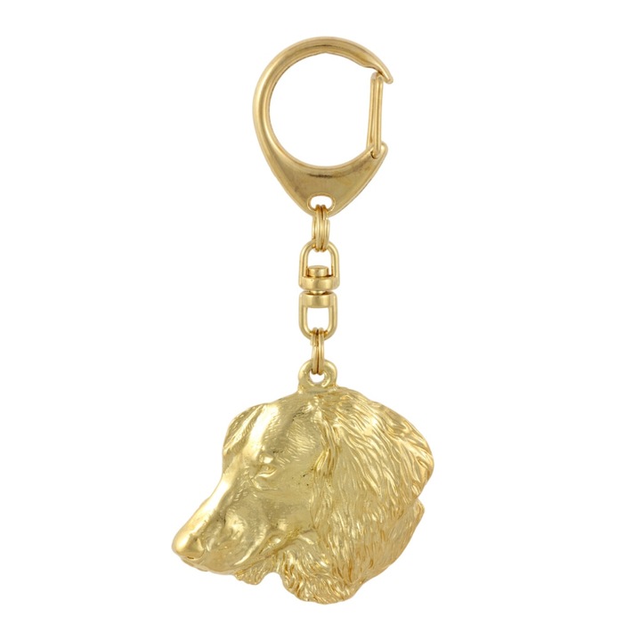 Art-Dog Tacskó drótszőrű IV, aranyozott, dekoratív, többszínű kulcstartó