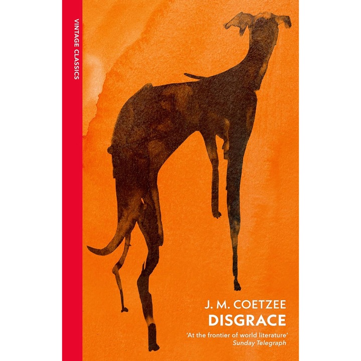 Disgrace - J. M. Coetzee, editia 2024