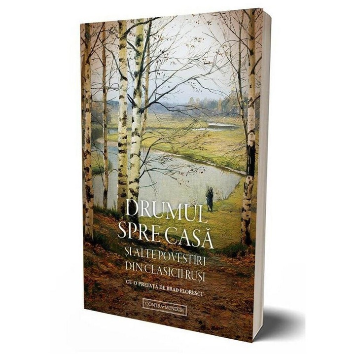 Drumul spre casa. Si alte povestiri din clasicii rusi, Angela Voicila