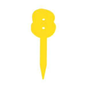 Accesorii pentru petrecere