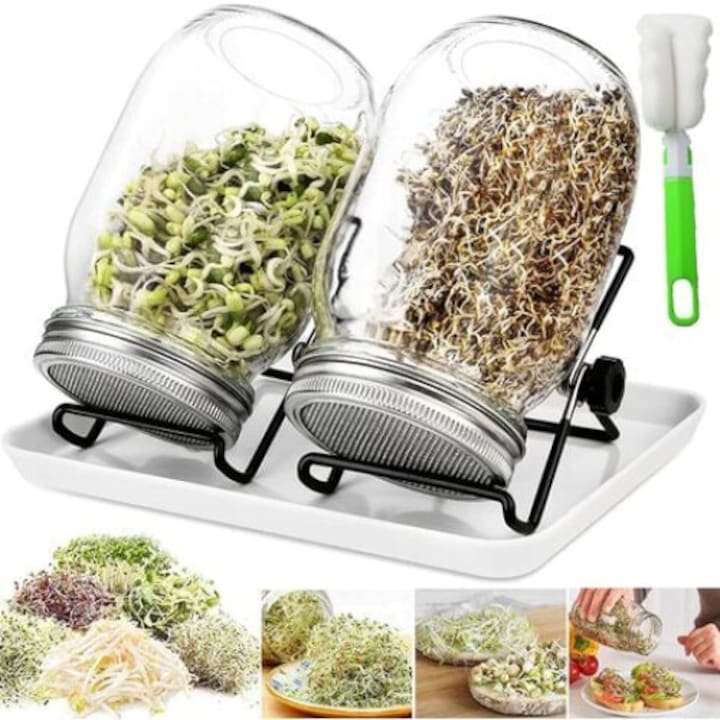 Set borcane pentru germinat, 950ml, cu 2 grile si suporturi, bol pentru incoltit, multicolor