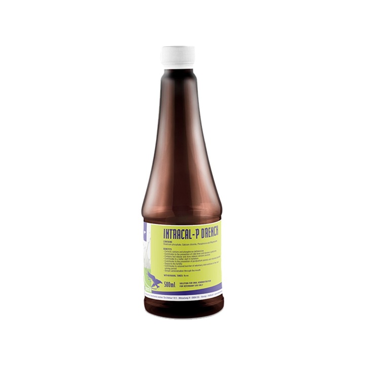 Furaj complementar, pentru bovine, Intracal-P Drench, 500 ml