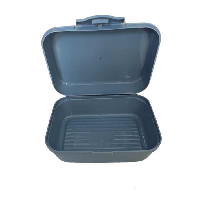 Cutie pentru sandwich 1000 ml, Titiz, albastra, model Food