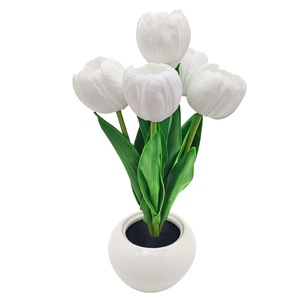 Lampi de veghe copii