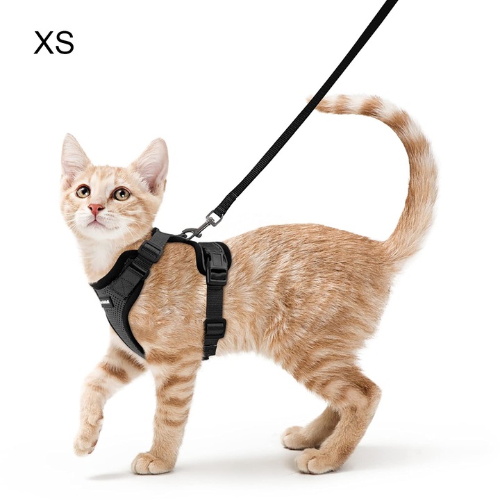 Macskahám pórázzal, QttvbTna, fekete, XS, 8,5-11" nyak, 13,5-16" mell