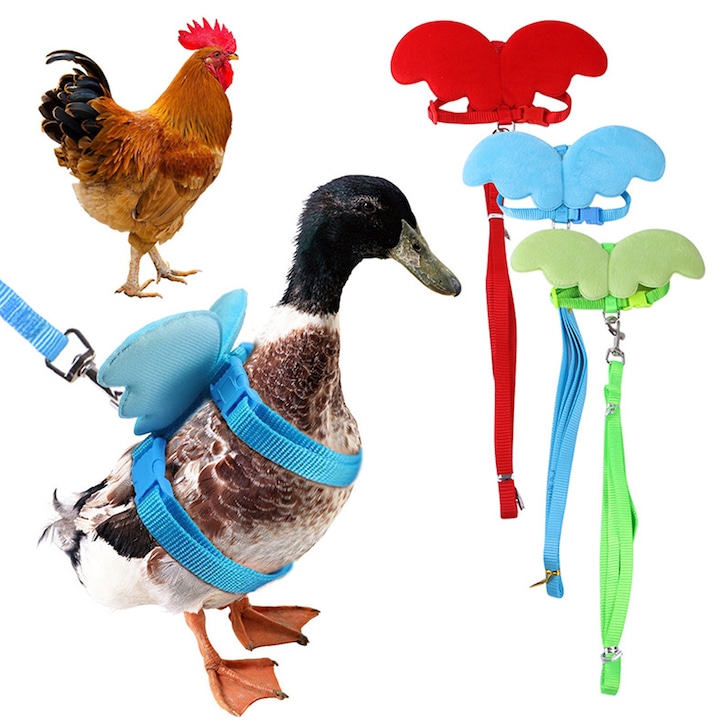 Set 3 hamuri pentru pasari, nailon/plus, lungime 110cm, multicolor, XS