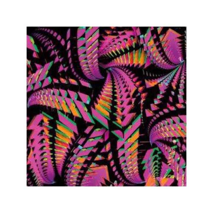 Bitchin Bajas - Bajascillators (2LP)